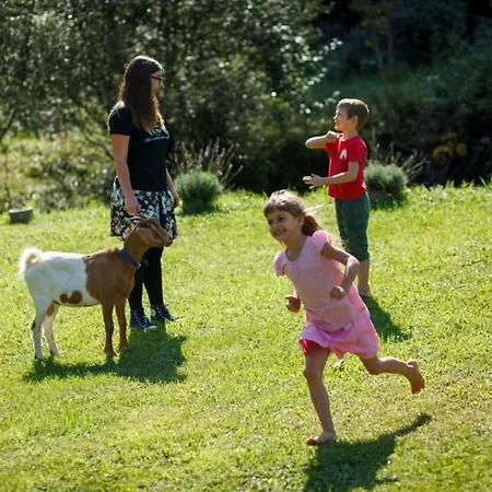 Podeželska hiša Kovacija Pri Kovacu *