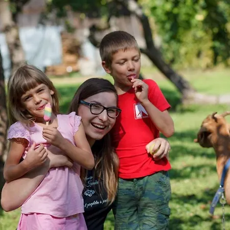 Kovacija Pri Kovacu Podeželska hiša Podvelka
