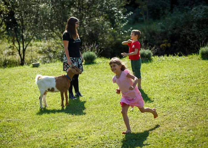Landhaus Kovacija Pri Kovacu *